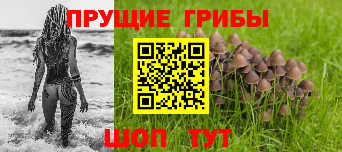 Галлюциногенные грибы Cubensis Ростов Великий