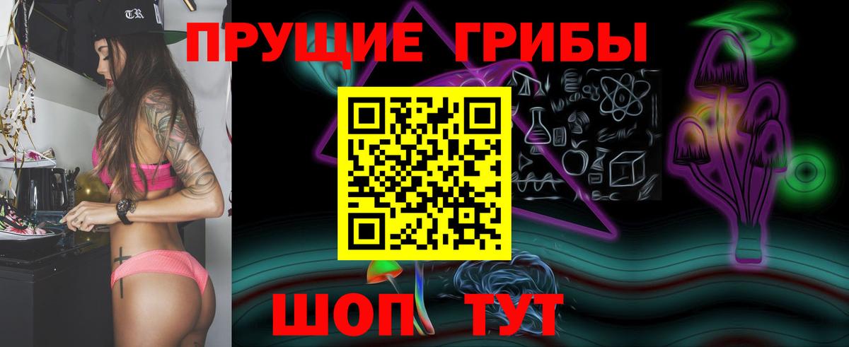 Ростов Великий  Псилоцибиновые грибы GOLDEN TEACHER  Галлюциногенные грибы прущие грибы  Вход с VPN 